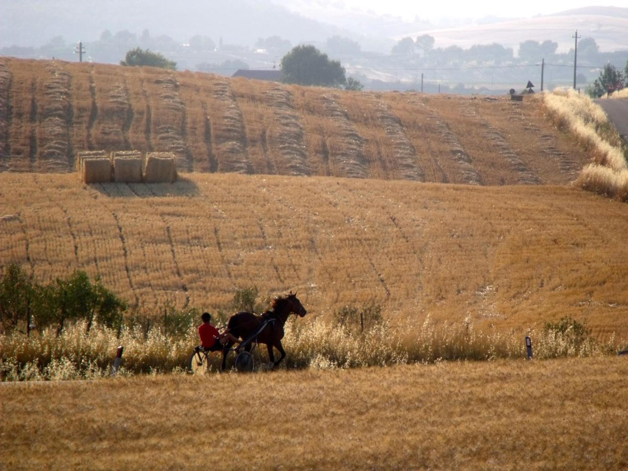 Agriturismo Il Raduno - Max Lelli Marsiliana Εξωτερικό φωτογραφία