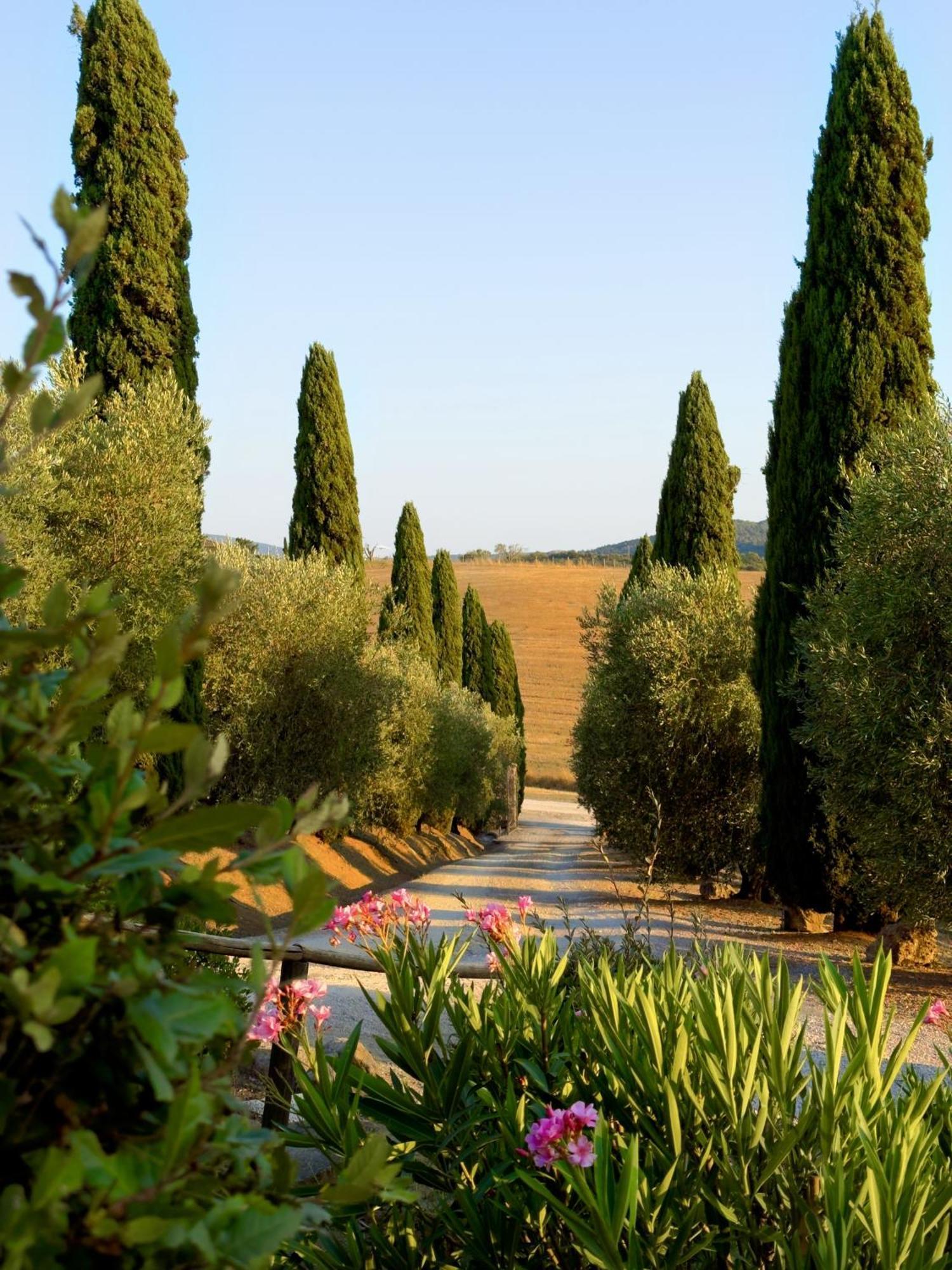 Agriturismo Il Raduno - Max Lelli Marsiliana Εξωτερικό φωτογραφία